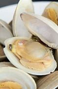 clam up